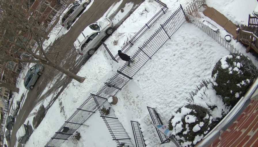 Reolink Camera Two_01_Reolink Home Hub One_20260130154236.jpg